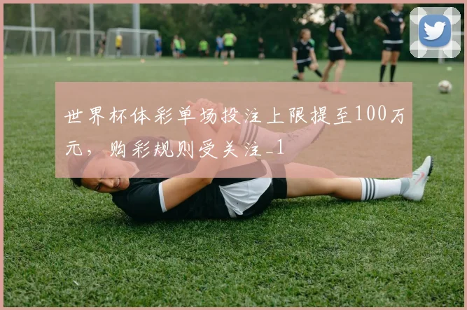 世界杯体彩单场投注上限提至100万元,购彩规则受关注_1