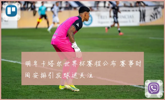 明年卡塔尔世界杯赛程公布 赛事时间安排引发球迷关注