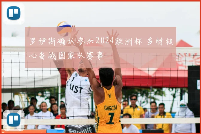 罗伊斯确认参加2024欧洲杯 多特核心备战国家队赛事