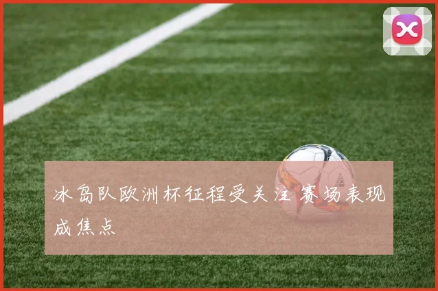 冰岛队欧洲杯征程受关注 赛场表现成焦点